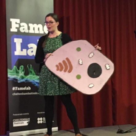 Famelab Cell