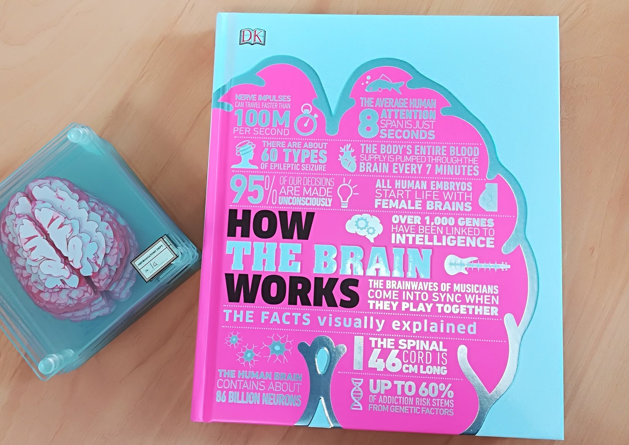 New Book: How The Brain Works is Released! – Dr Emma Yhnell